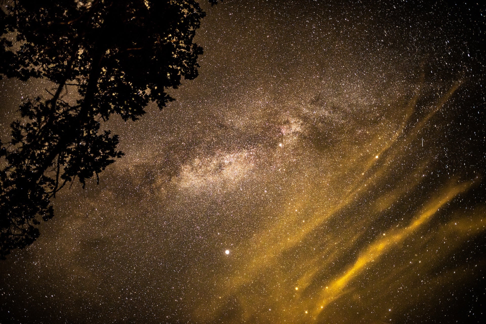 Starry Nights