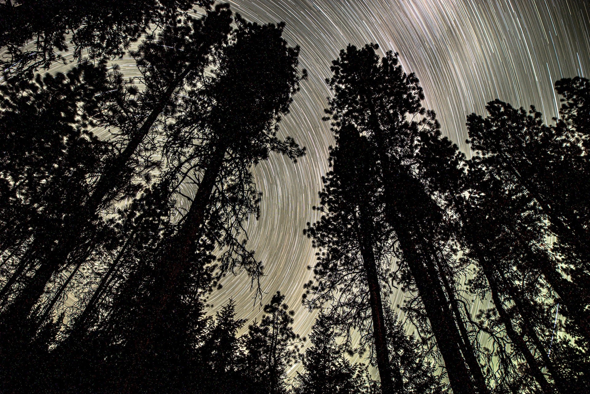 Starry Nights