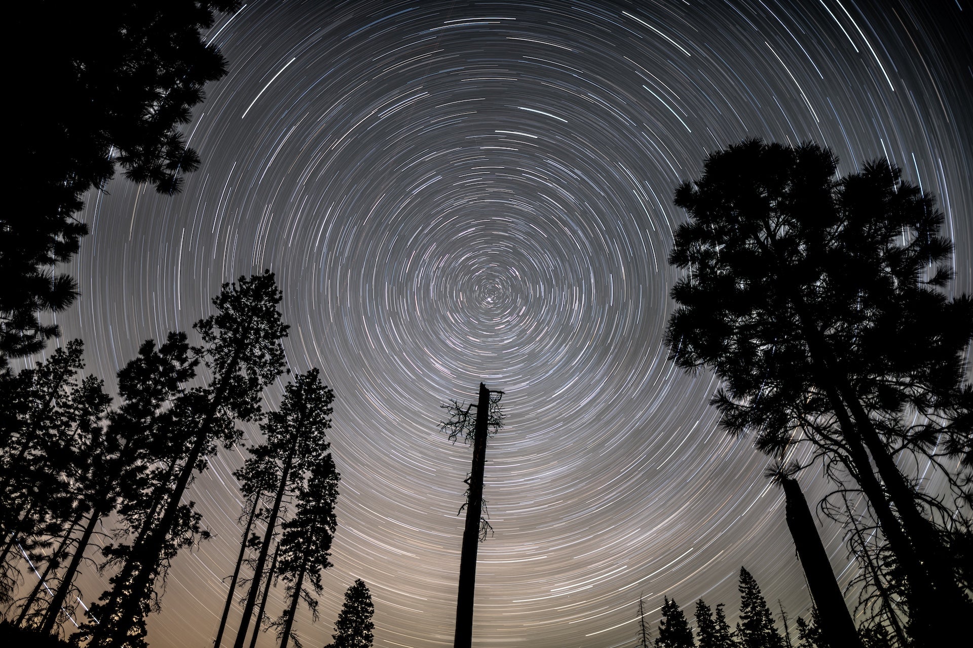 Starry Nights