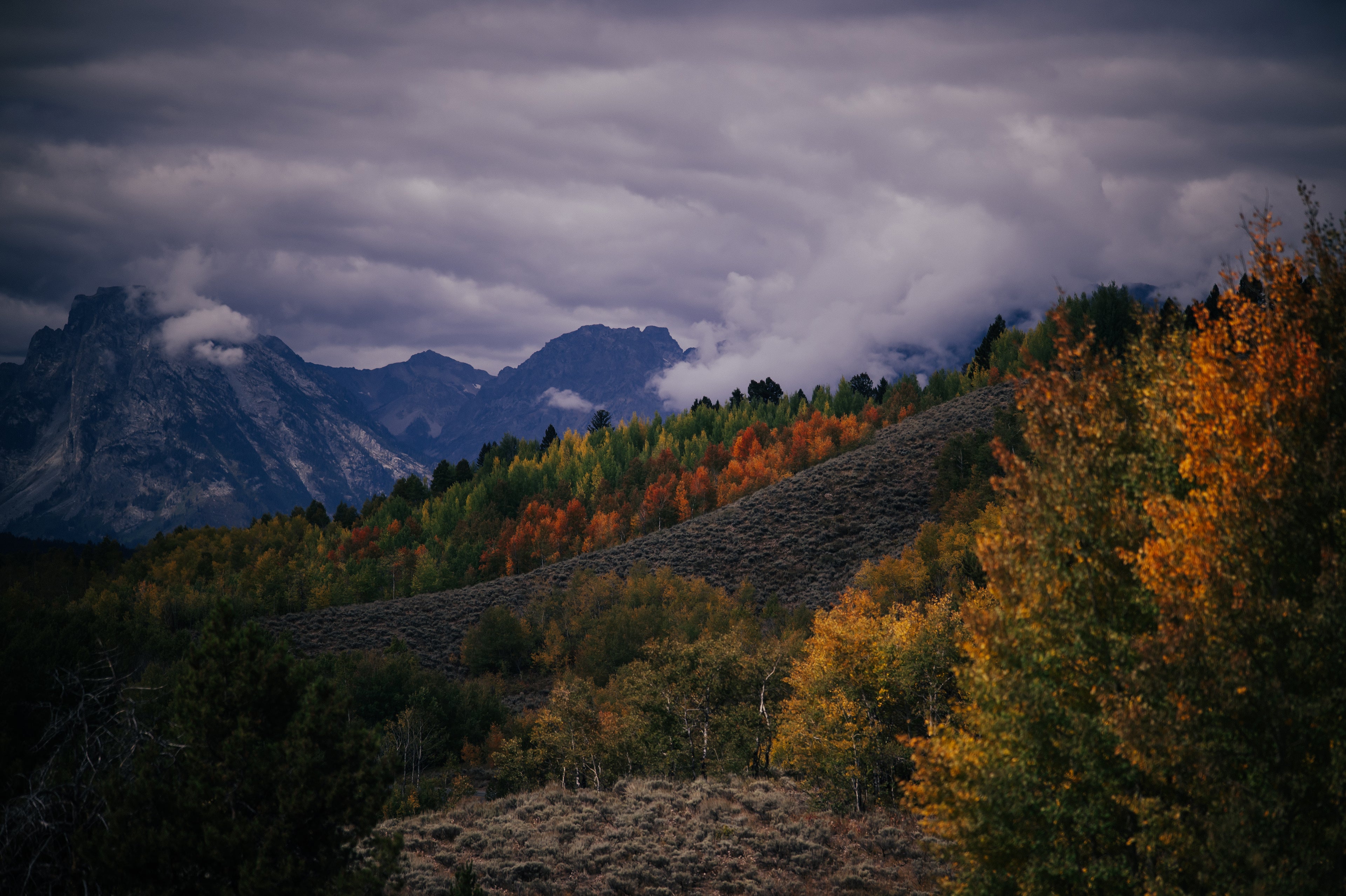 Grand Teton National Park