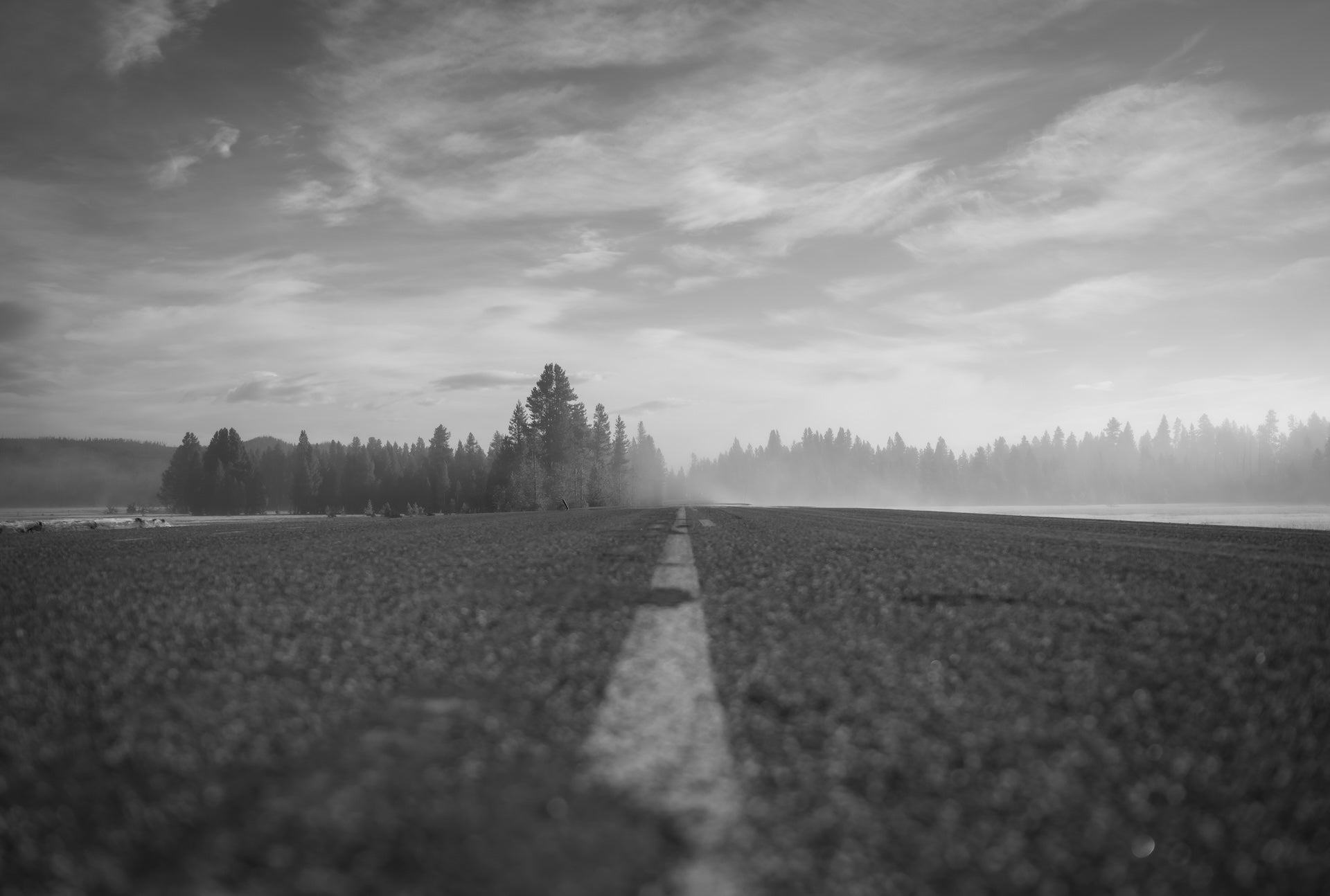 Yellowstone National Park